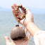 The Forest Woodblock - Handheld Natural Seed Percussion Instrument