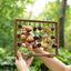 La Harpe des Fruits - Sculpture Sonore Verticale