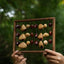 La Harpe des Fruits - Sculpture Sonore Verticale