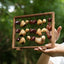 La Harpe des Fruits - Sculpture Sonore Verticale