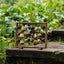 La Harpe des Fruits - Sculpture Sonore Verticale