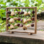 La Harpe des Fruits - Sculpture Sonore Verticale