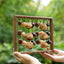 La Harpe des Fruits - Sculpture Sonore Verticale