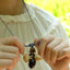 The Guiding Star - Natural Seed Pendant Necklace