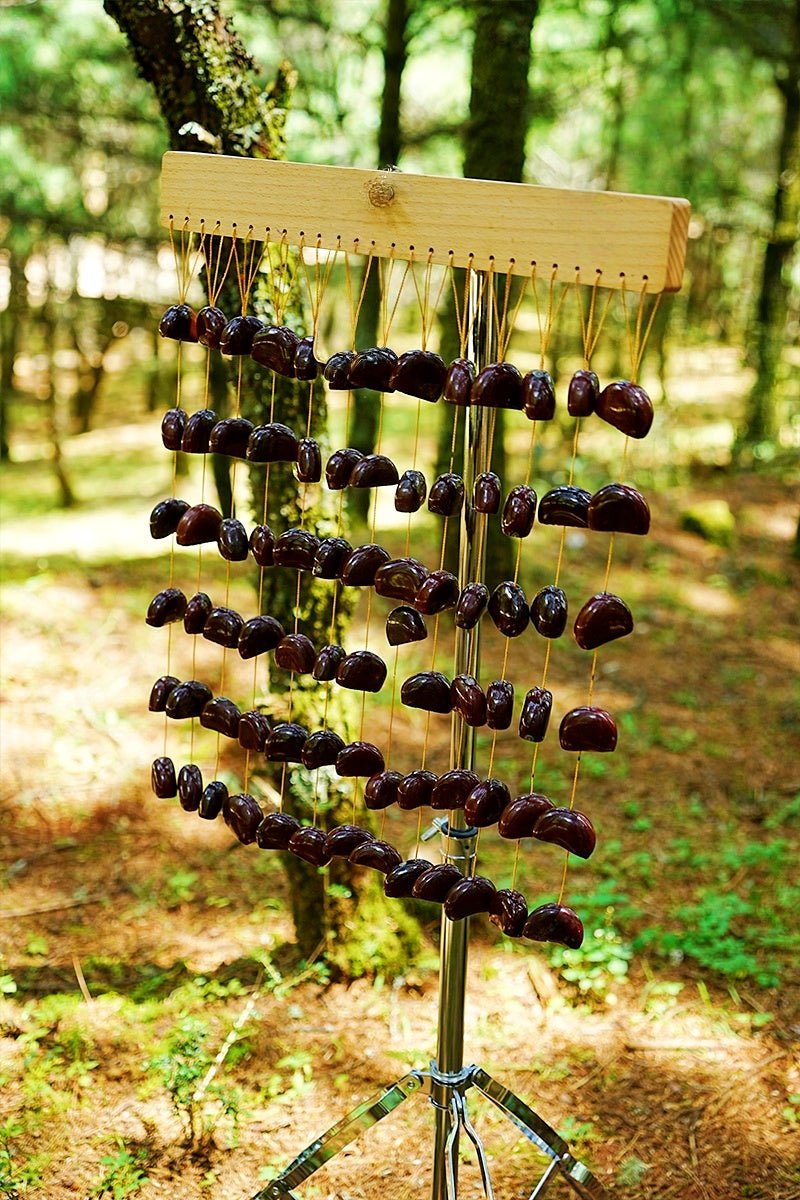 Carillon en coquilles de graines de Juju Duckvine fait main
