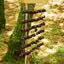 Carillon en coquilles de graines de Juju Duckvine fait main