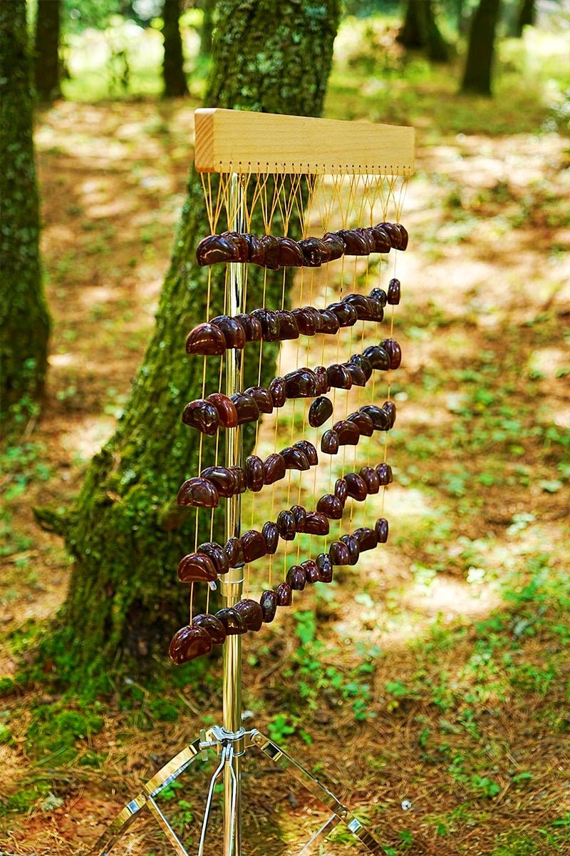 Carillon en coquilles de graines de Juju Duckvine fait main