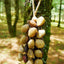 Carillon en Coquilles de Graines Fait Main – Son Naturel de la Forêt Tropicale