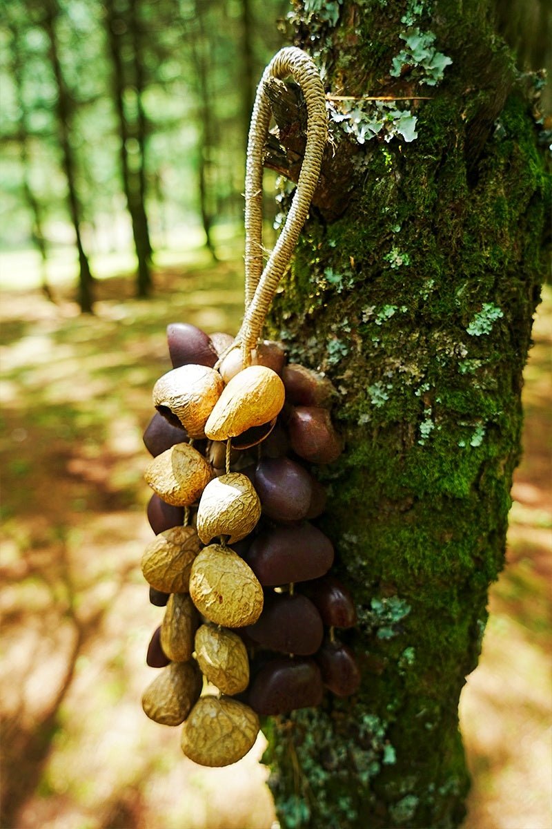 Carillon en Coquilles de Graines Fait Main – Son Naturel de la Forêt Tropicale