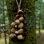 Carillon en Coquilles de Graines Fait Main – Son Naturel de la Forêt Tropicale