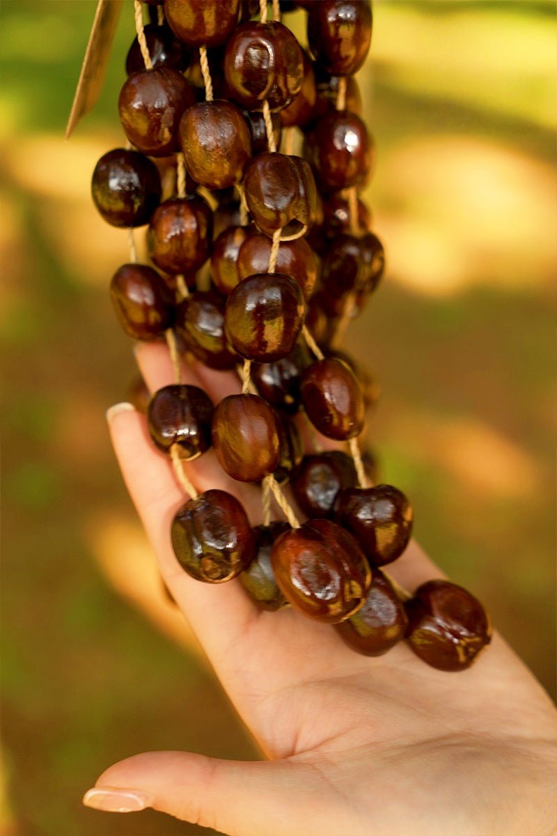 Cloche à main en coque de graine de cardamome Pala faite à la main – Décor naturel