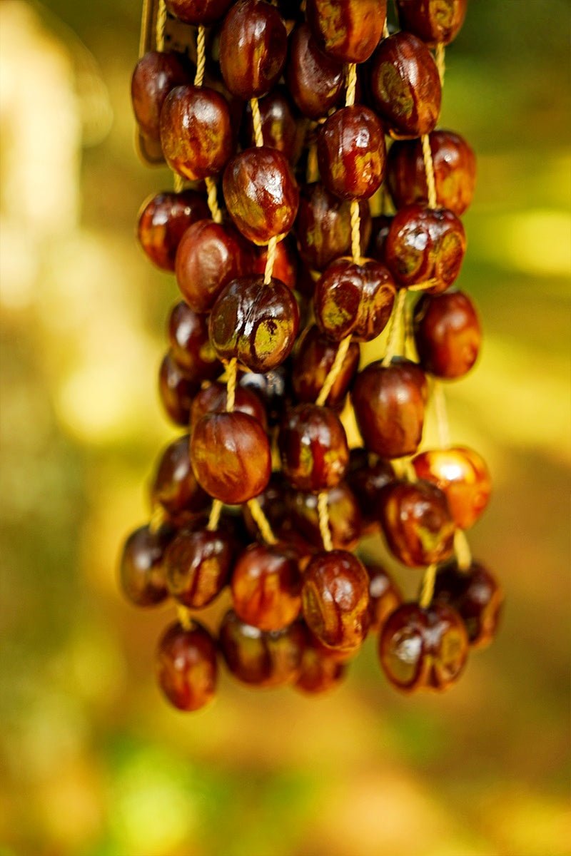 Cloche à main en coque de graine de cardamome Pala faite à la main – Décor naturel