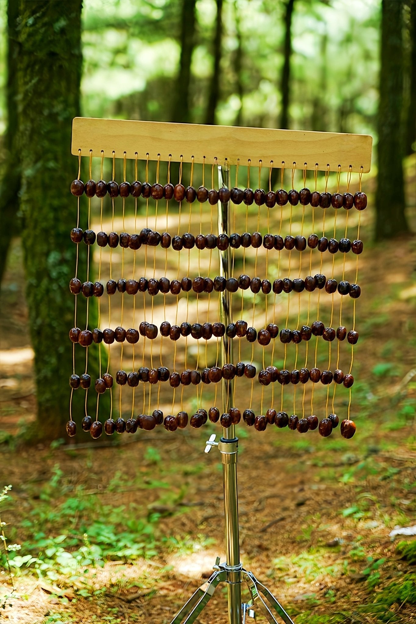 Handmade Pala Cardamom Seed Shell Bar Chime