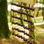 Handmade Pala Cardamom Seed Shell Bar Chime