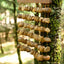 Carillon en Coquilles de Graines de Fruit Noir Panji Fait Main