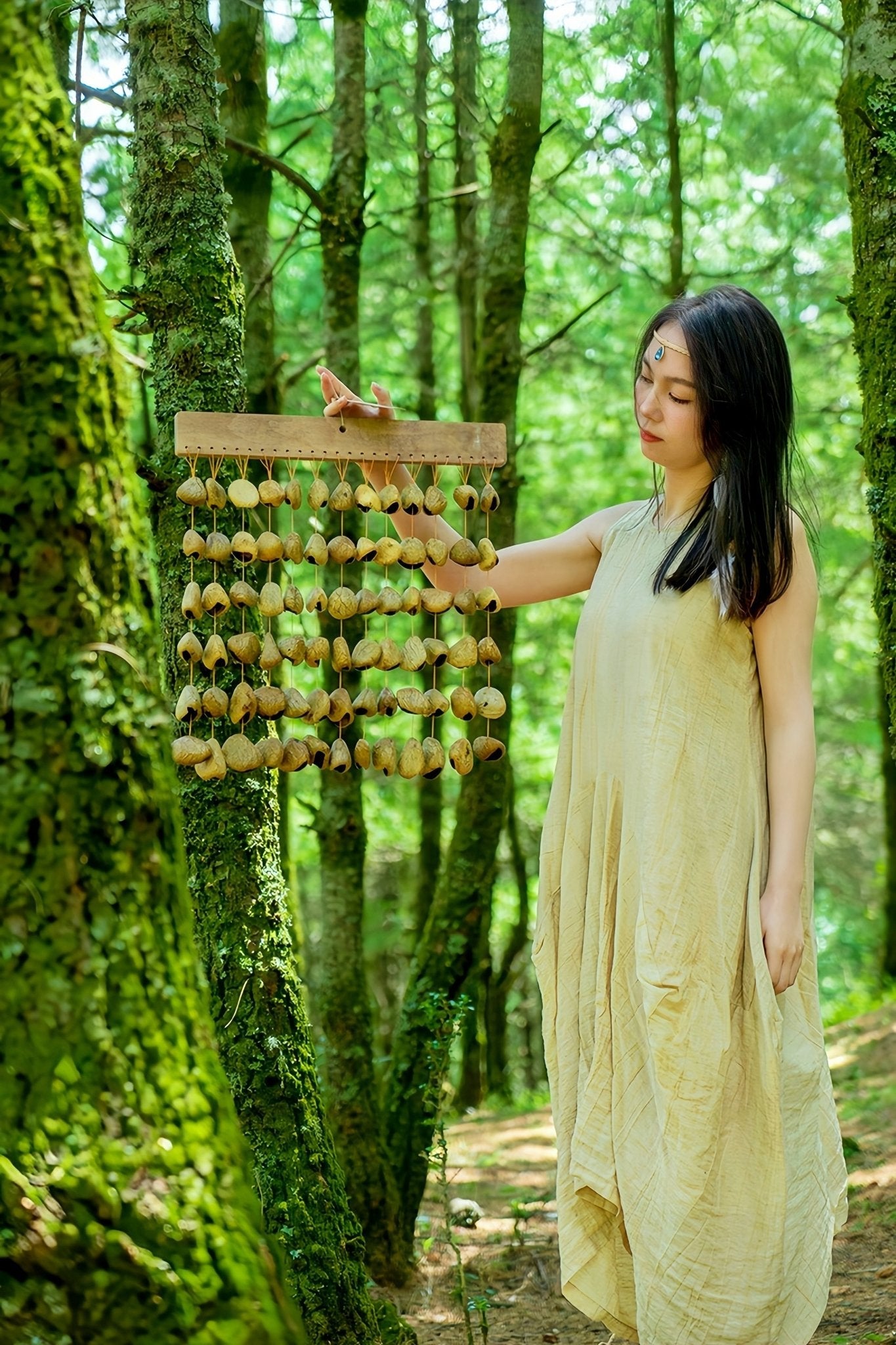 Carillon en Coquilles de Graines de Fruit Noir Panji Fait Main