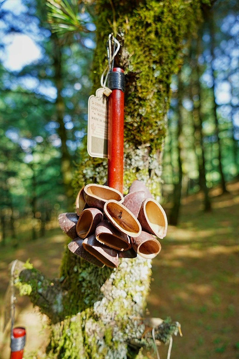 Handmade Juju Seed Pod Wooden Handle Shaker