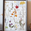 Le Grand Herbarium - Grande œuvre d'art en fougères et fleurs pressées réelles (Taille A3)