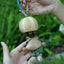 Le Sprite Champignon - Poupée Unique en Coquille de Noix avec Yeux en Bouton