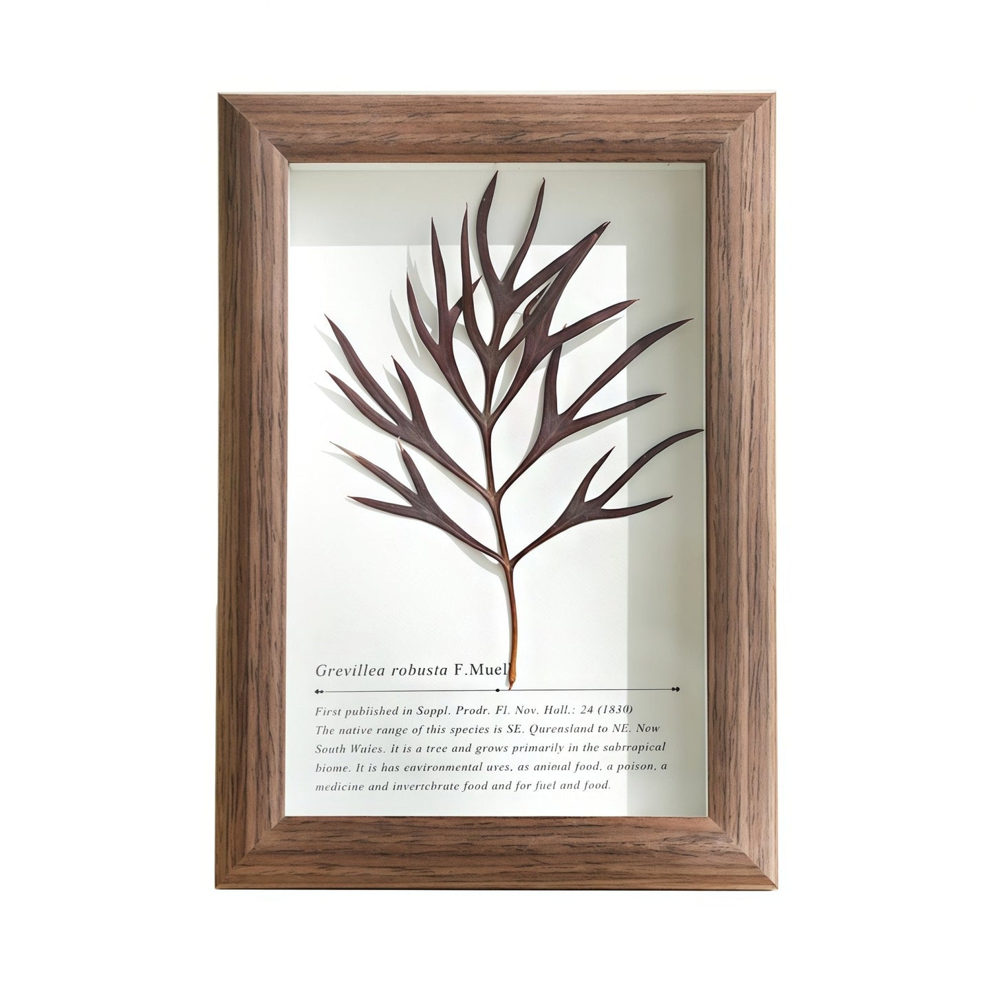The Landscape Garden - Real Preserved Flower Shadow Box