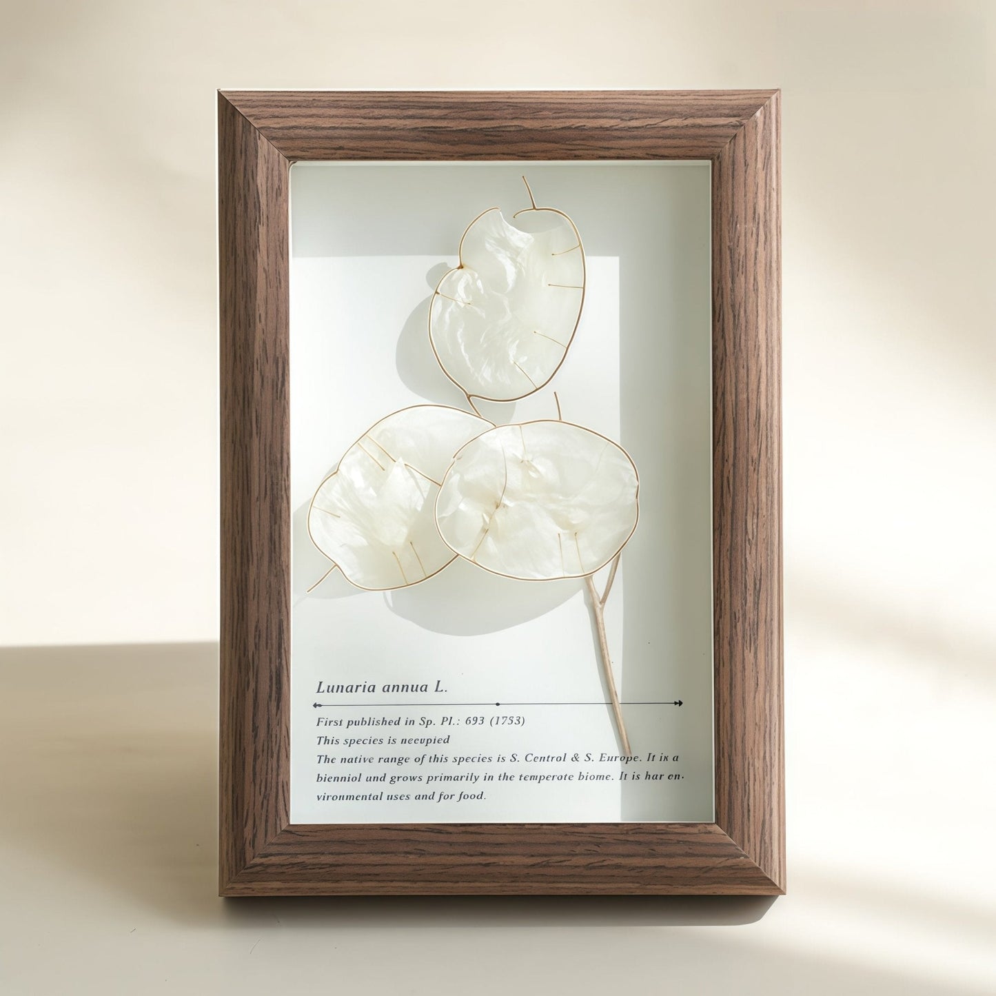 The Landscape Garden - Real Preserved Flower Shadow Box