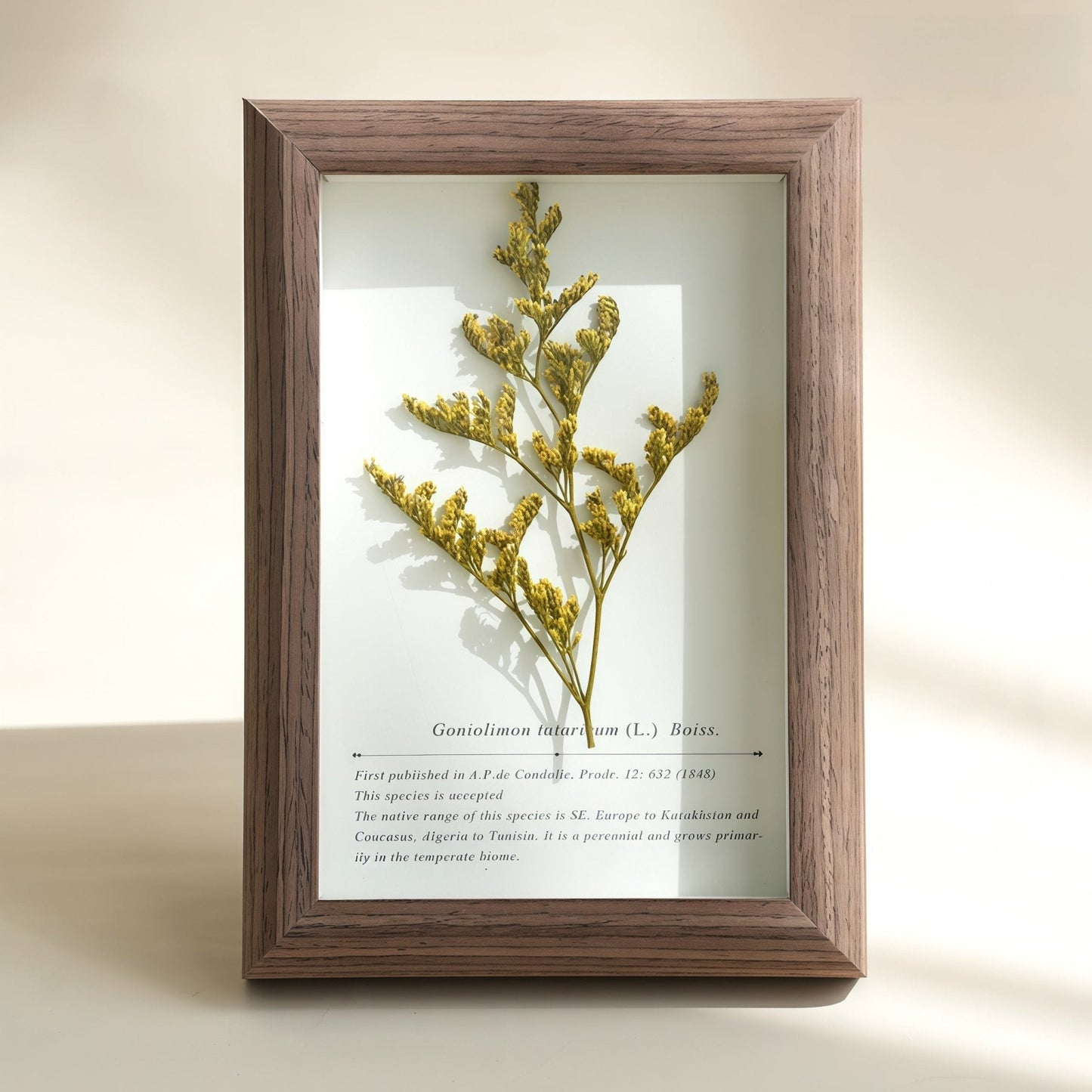 The Landscape Garden - Real Preserved Flower Shadow Box