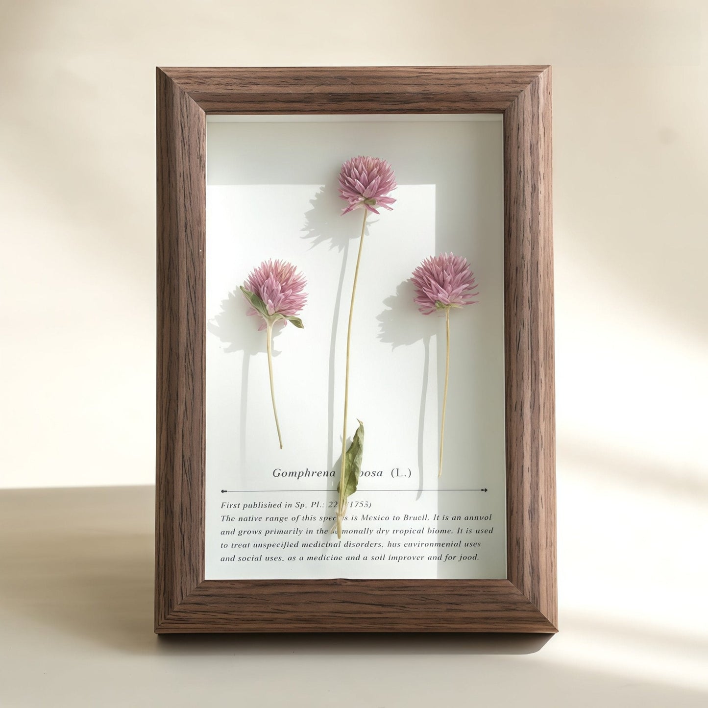The Landscape Garden - Real Preserved Flower Shadow Box