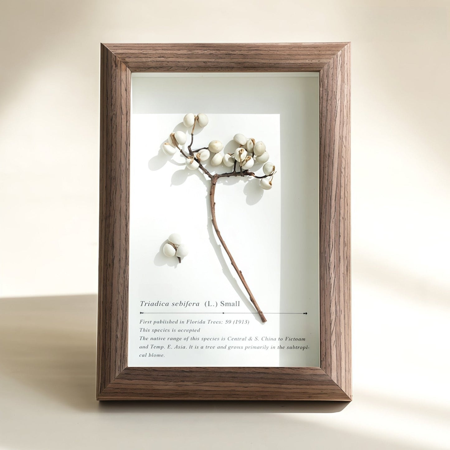 The Landscape Garden - Real Preserved Flower Shadow Box