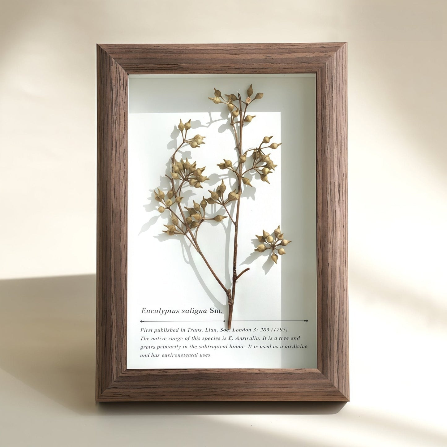 The Landscape Garden - Real Preserved Flower Shadow Box
