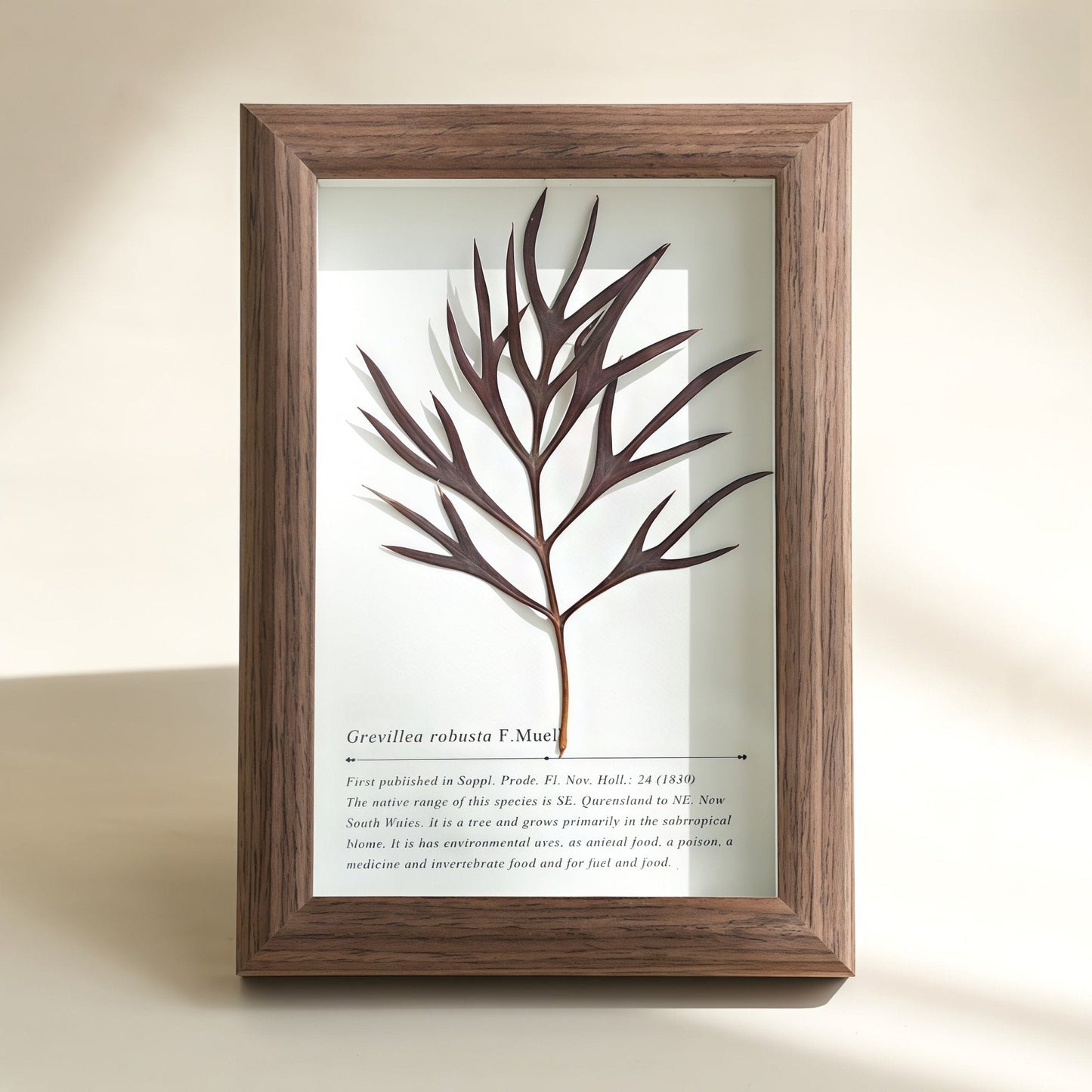 The Landscape Garden - Real Preserved Flower Shadow Box