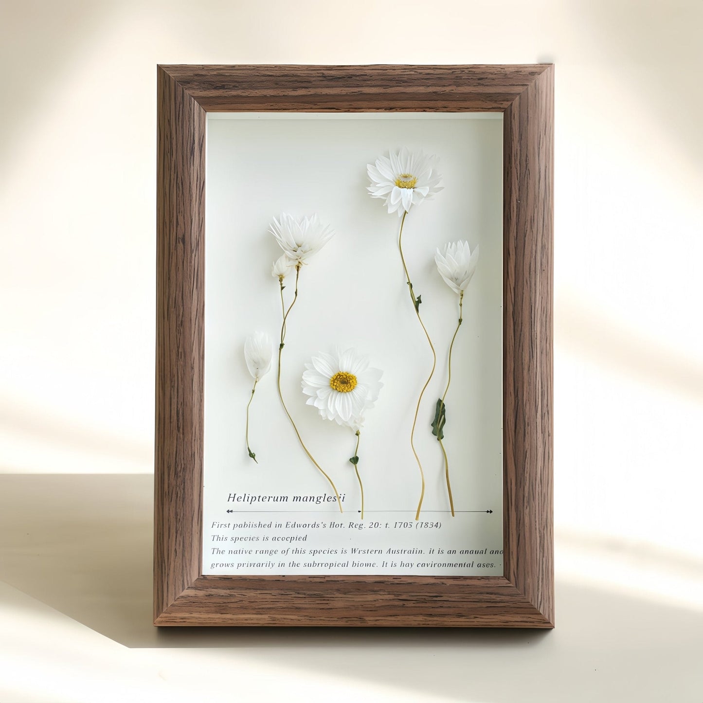 The Landscape Garden - Real Preserved Flower Shadow Box