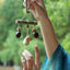 The Rainbow Branch - Natural Wood Mobile Charm