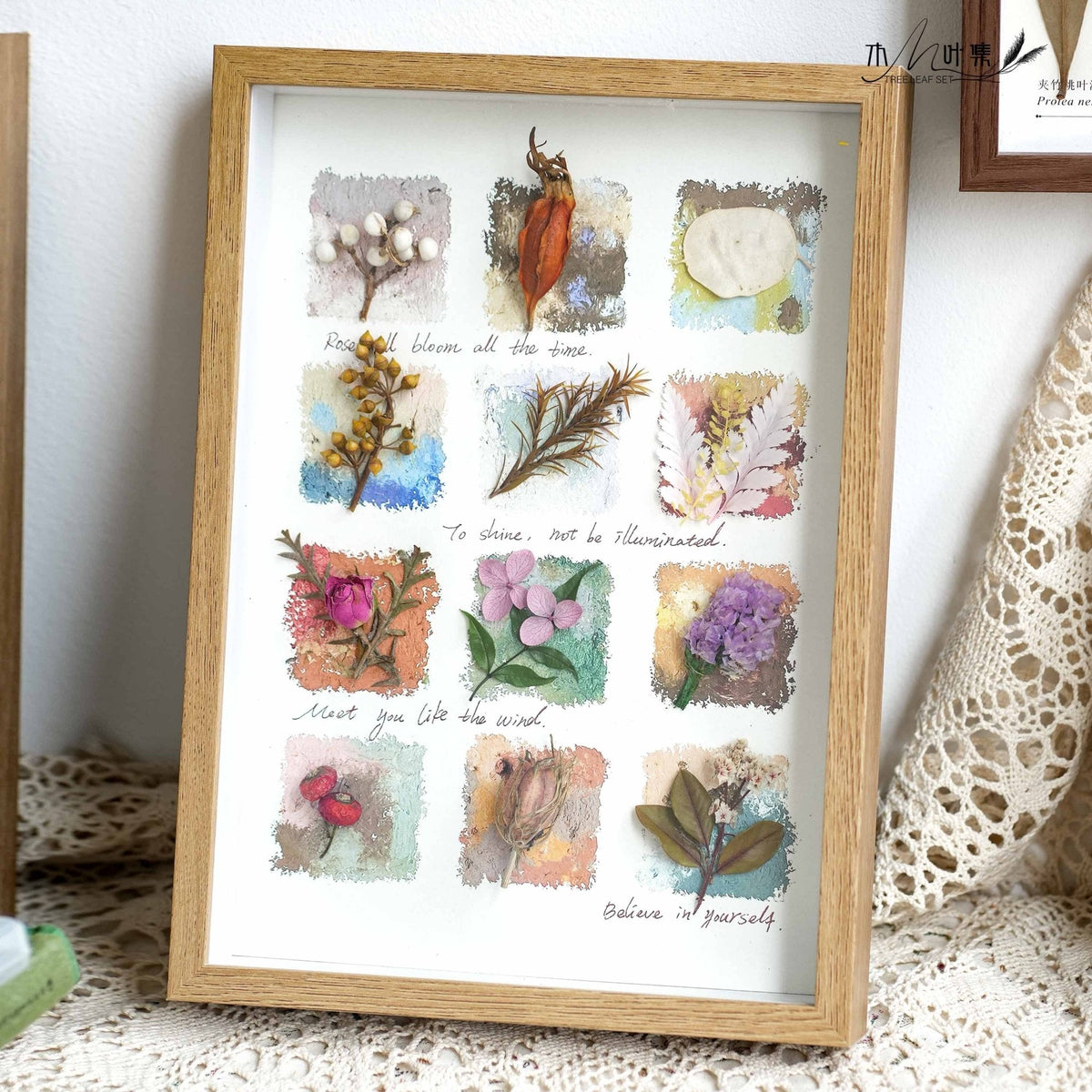 Cabinet de la Nature - Art en Boîte d'Ombre avec Spécimens Botaniques Réels
