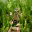 Le Petit Gardien de Noix | Ornement Bobblehead Écologique