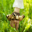 The Forest Rhythm - Natural Seed Shell Wrist Rattle Bracelet