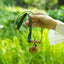 The Mossy Branch - Green Fabric Strap Necklace with Wood Bar