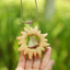 Le Cristal Solaire - Pendentif en Bois Sculpté à la Main avec Pierre Précieuse