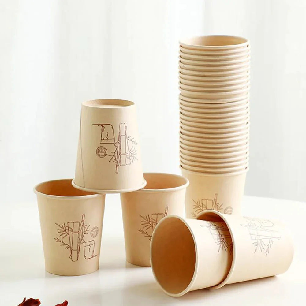 Gobelets jetables en fibre de bambou