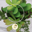 Yellow Sunflower Kitty Pendant Bracelet