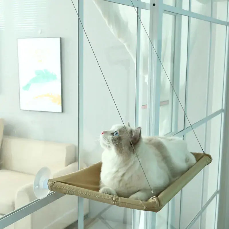 Hamac suspendu pour chat avec ventouses