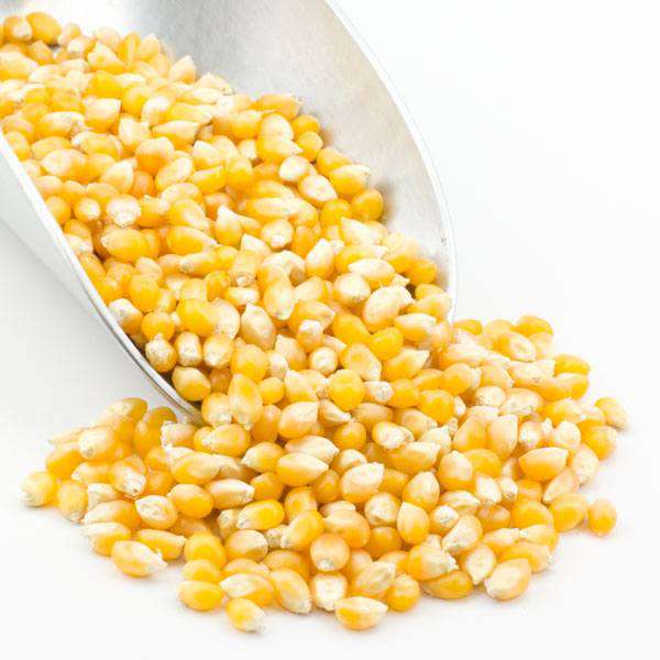 Gourmet Yellow Popcorn Kernels - Non-GMO Snack Delight - Korvel