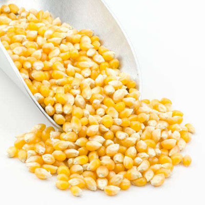 Gourmet Yellow Popcorn Kernels - Non-GMO Snack Delight - Korvel