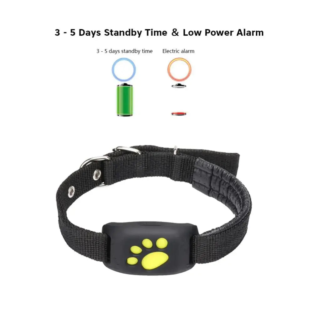 Collier de suivi GPS pour animaux de compagnie Premium
