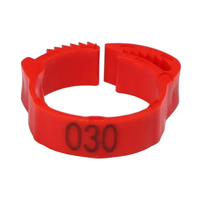Anillos para patas de pollo - Edición Clucktastic
